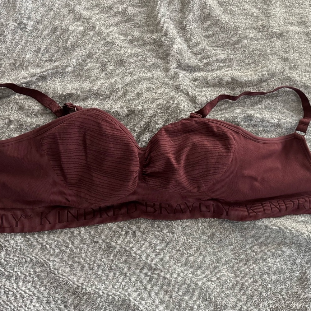 Kindred Bravely Pumping & Nursing Bra